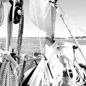 Meet your Posher, Meredith